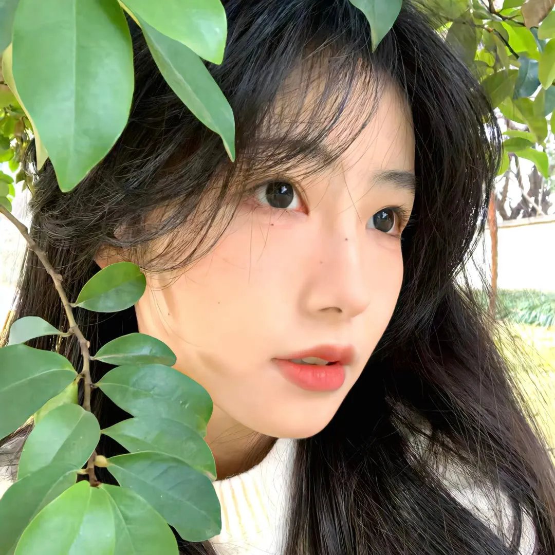 自由第一日